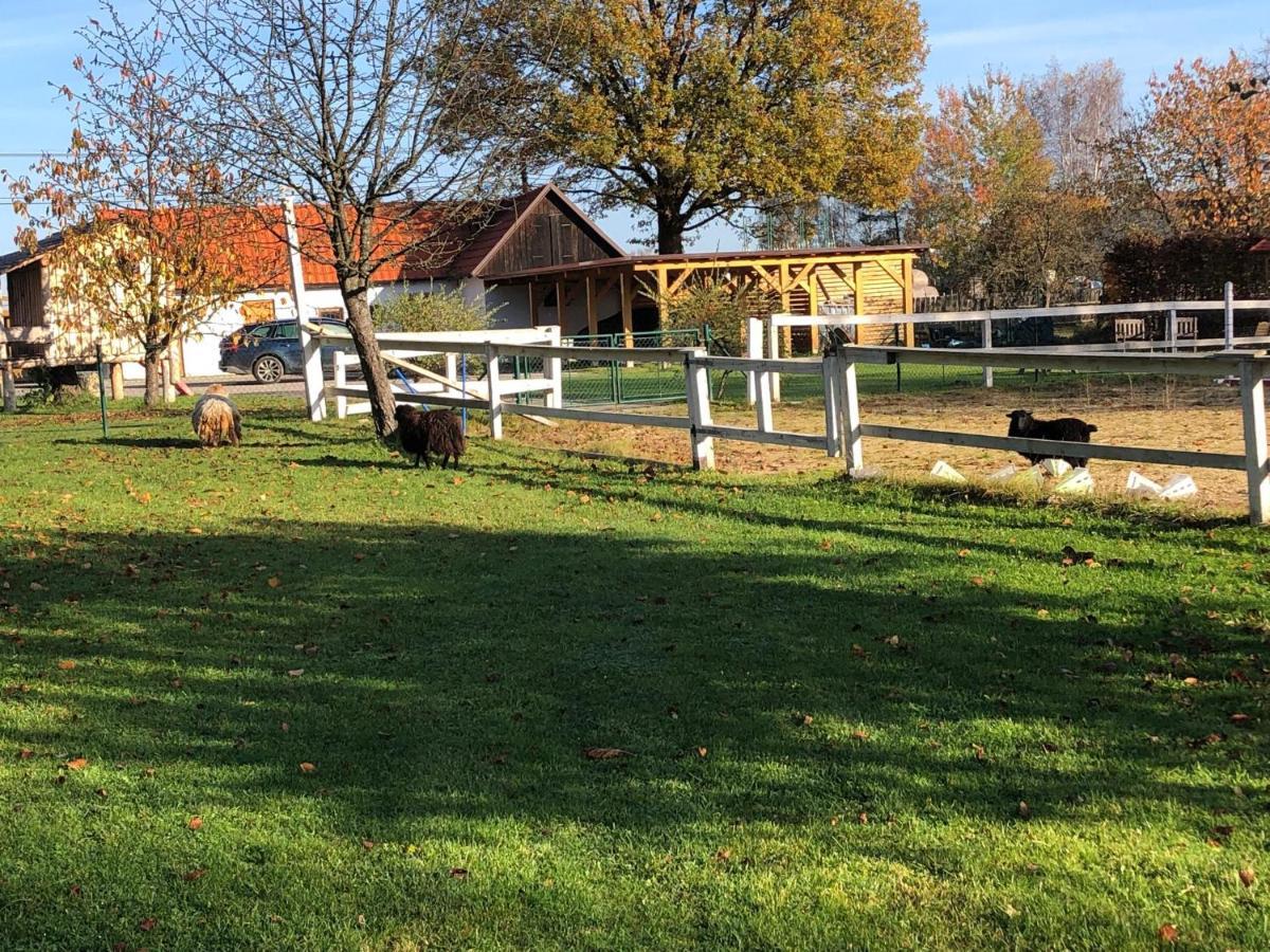 Apartmany Kojakovice - Trebon Jílovice Buitenkant foto