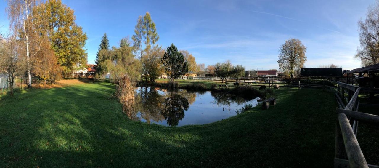Apartmany Kojakovice - Trebon Jílovice Buitenkant foto